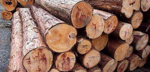 木材深讀 設(shè)計(jì)師必備的木材知識與應(yīng)用藝術(shù)