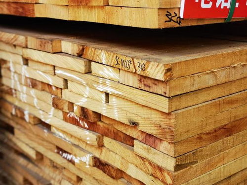 加納木材市場遭遇寒冬 價(jià)格斷崖式下跌，最大跌幅超五成