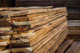 深度解析 為何申請中國木材網(wǎng)審核未通過？