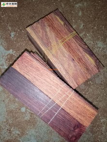 中國木材行業(yè)供應(yīng)商網(wǎng)新聞頻道 洞察木材市場動態(tài)，引領(lǐng)產(chǎn)業(yè)綠色發(fā)展